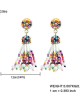 Handmade Multicolored Seed Bead Bohemian Tassel Dangle Earrings 5Pairs